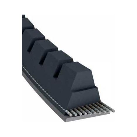 Courroie tondeuse XPZ1000 trapézoïdale crantée  9,7 x 1012 mm (1/5)