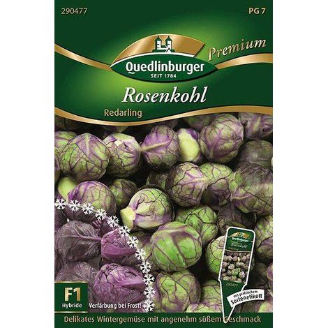 Quedlinburger Rosenkohl Red - Gemüsesamen