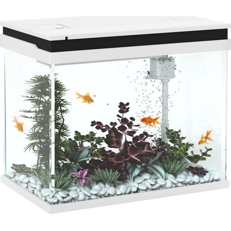 Aquarium en verre de 41 litres avec système de filtration, éclairage LED et pompe à eau, pour diverses espèces de poissons, blanc.