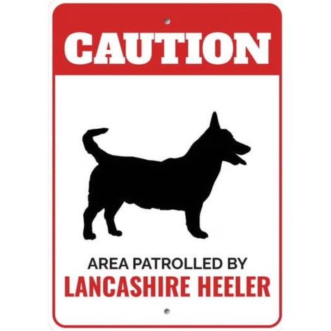 Panneau d'avertissement en métal pour chien Lancashire Heeler, plaque décorative 8 x 12 pouces, cadeau idéal pour amoureux de chiens et propriétaires de Heeler (1/5)