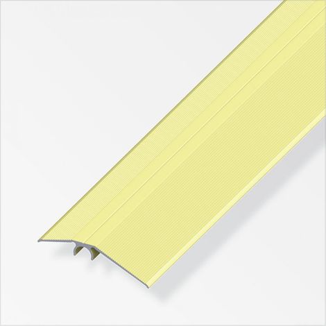 alfer Niveauausgleichs-Profil 1 m, 56 mm Aluminium eloxiert messing Profil (1/2)