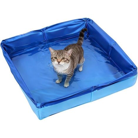 Piscine pour Chien Pliable Carrée 50 x 50 x 10 cm,Pataugeoire pour Chiens et Animaux Domestiques Convient aux Chatons et aux Chiots (1/4)