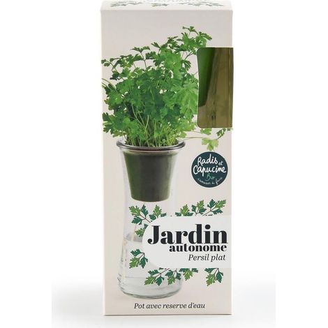 Jardin autonome - Persil bio