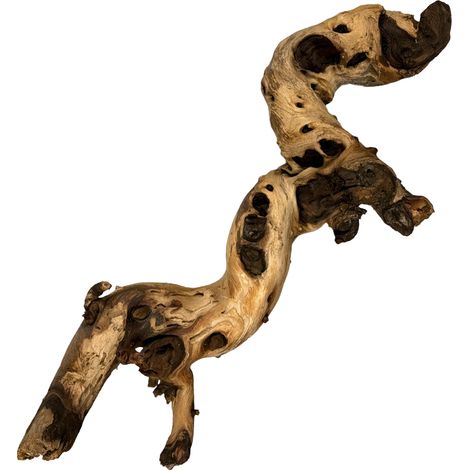 Mopani-Wurzel 31-40 cm (1/3)