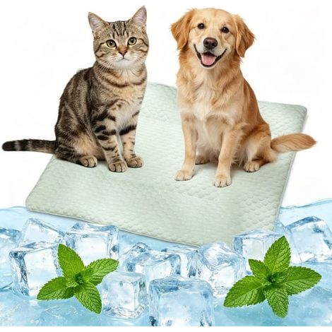 Tapis rafraîchissant pour chiens et chats - Couverture et coussin rafraîchissants pour animaux de compagnie - Idéal pour la maison, les voyages et la voiture - Vert - 50 x 40 cm (1/5)
