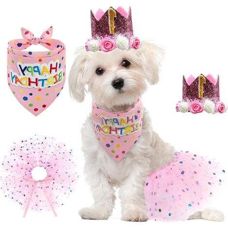 Set d’anniversaire chien – 4 pièces – Chapeau + nœud + tutu rose – Petits et moyens chiens – Fête (1/5)