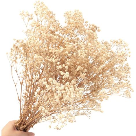 pieza de gypsophila seca, flores naturales, decoración del hogar, boda, oficina, regalo (1/5)