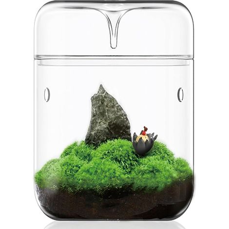 Petit terrarium en verre 12 x 17,5 cm Planificateur d'air pour plantes succulentes Mousse de fougère Vase micro-paysage pour décoration de jardins domestiques et bureau (1/5)