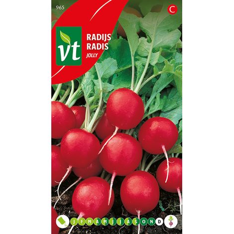 Radis Jolly - Ca. 8 gr (Livraison Gratuite) (1/2)