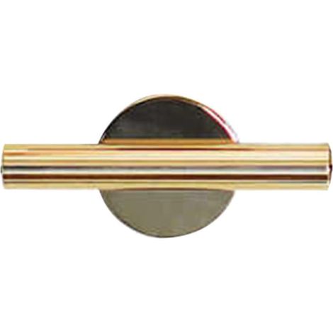 Tube adhésif en fer doré pour fleurs séchées, à fixer au mur vase simple et élégant (1/5)