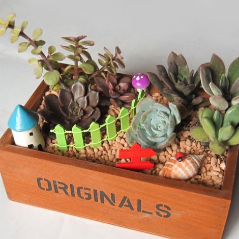 Pot de fleurs décoratif en bois pour plantes succulentes, cactus et bonsaïs, idéal pour les micro-paysages. (1/5)