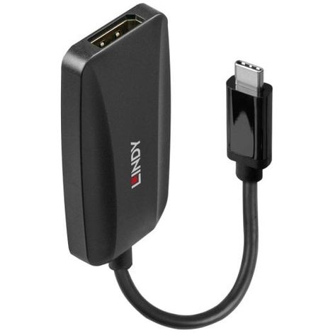 Câbles et adaptateurs audio vidéo LINDY USB Type C to DP 1.4 Converter