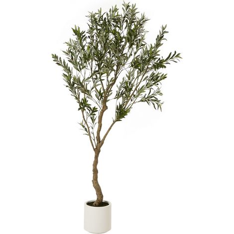Apulia Olive Tree Pot - Plastic - Height 200 cm