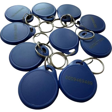 Lot de 10 porte-clés RFID double fréquence 125 kHz EM4100 et puce RFID 1K 13,56 MHz (1/2)