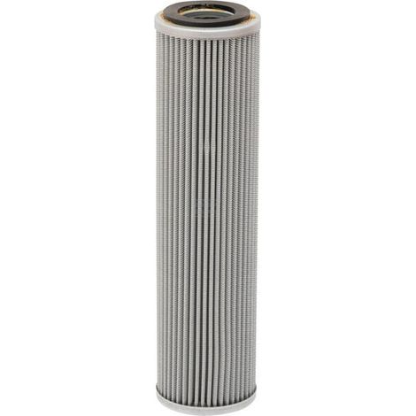 Filtro LANDINI 3555858M91 (1/5)