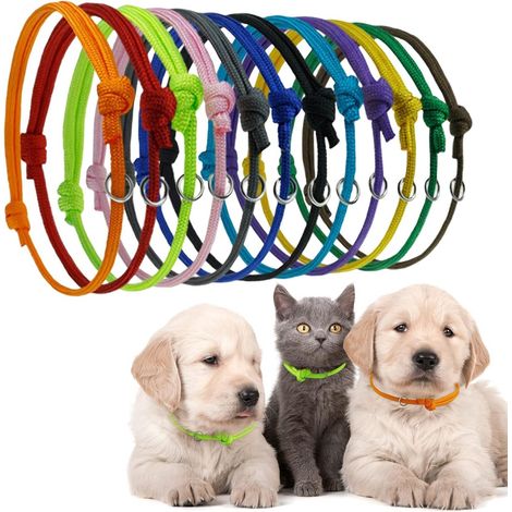 Filiyano-Ensemble de 12 accessoires pour animaux de compagnie : bague d'identification pour chiot, collier pour chiot et jouet pour chiot. (1/5)