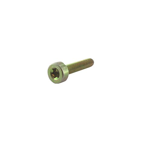 Vis Torx M5x25mm Anpassbar Stihl Für Alle Modelle. Ersetzt Original 9022-341-1050.