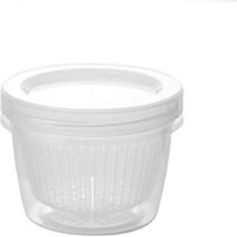 Petit panier égouttoir avec couvercle, boîte de rangement pour la cuisine, organisateur hermétique pour réfrigérateur (1/4)