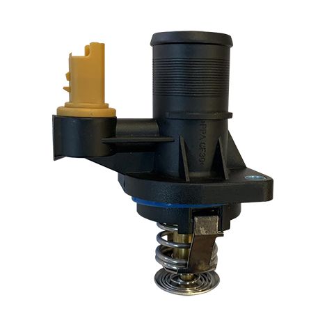 3RG 84289 TERMOSTATO