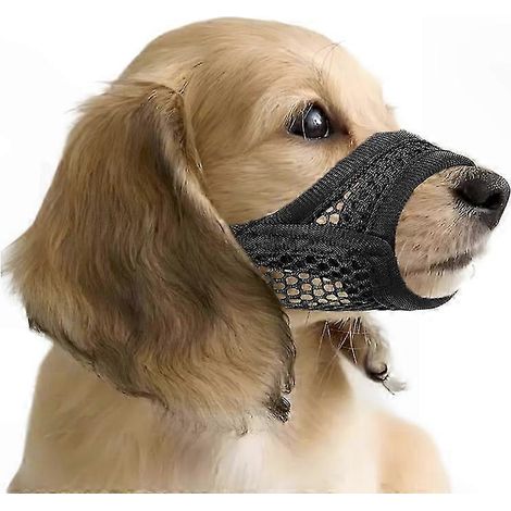 Weicher Netzmaulkorb für kleine und mittelgroße Hunde, kurze Schnauze, komfortabel und sicher bissfest, ideal für brachycephale Rassen (1/5)