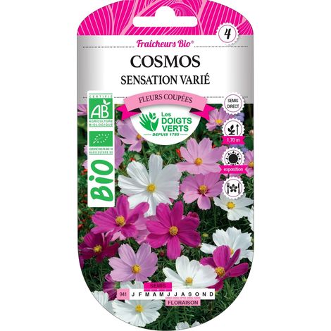 Graines cosmos sensation varié BIO Les Doigts Verts