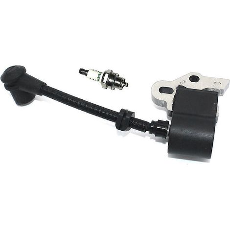 Bobine d'allumage pour McCulloch Eager Beaver PRO MAC Titan 302138 219848-00 219848-01 (1/5)