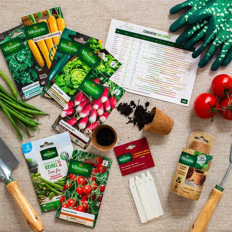 Coffret mon premier potager Vilmorin