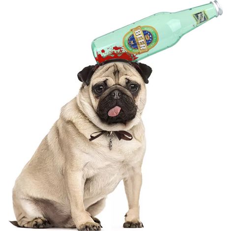1 serre-tête bouteille d'Halloween, design ensanglanté, pour chiens et chats, accessoire de déguisement festif (1/5)