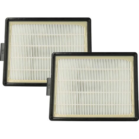 vhbw 2x Filtro reemplaza Rainbow Rexair R12107B, R7292 para aspiradora - filtro HEPA/plisado plano negro / blanco