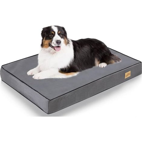 Materassino Cuccia per cane Estiva Divanetto Letto per Cani Taglia Media Grande 105x70x10cm (1/5)