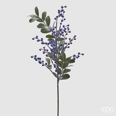 EDG Enzo De Gasperi Mirtillo Ramo H 60 Cm Colore Violet