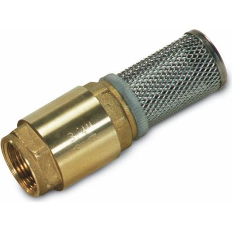 Crépine de fond inox G 3/4' – Clapet anti-retour pour filtration efficace – Prévention des retours d'eau