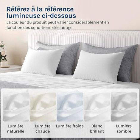 Lot de 2 Housses oreiller Respirant - Double Face Rafrachissante, 30 x 50 cm Blanc TAIE OREILLER (1/5)
