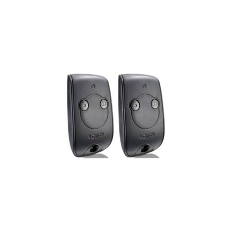 Somfy 1841026 - Télécommande Keytis RTS 2 canaux pour contrôler 2 Moteurs RTS de portails et Portes de Garage (Lot de 2) (1/2)
