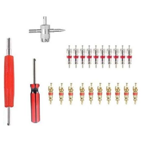 BUNTHAUS PA Jeu d'outils de noyau de valve Outil de retrait de noyau de valve 23 pièces (1/4)