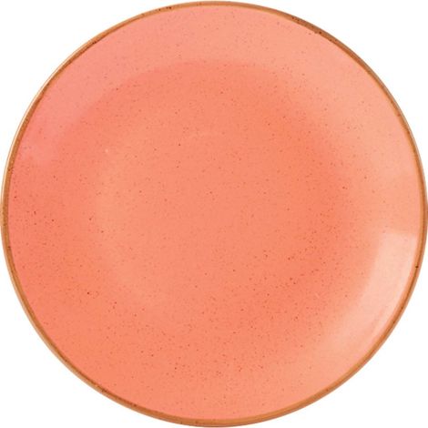 assiette Amber - 300mm - Finedine (1/5)