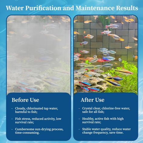 KineShineX hydroponic plant water purifier tablets, fresh flower preservation, lucky bamboo nutrient solution, water purification, and extended flowering period. (1/4)
