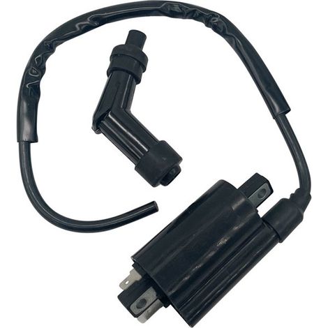 Bobina de encendido delantera y trasera adecuada para motocicleta Suzuki VS1400 e Intruder 1400 (1987-2004) (1/5)