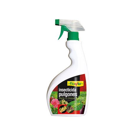 Spray Flower pronto usa 750 ml
