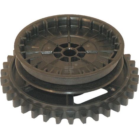 Polea de arranque Quantum BRIGGS & STRATTON 490877