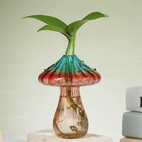 Vases en verre coloré pour plantes d'intérieur, mini terrarium pour plantes, petits pots hydroponiques uniques pour fleurs, joli vase décoratif cadeau (1/5)