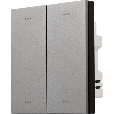 Tuya Zigbee Doppelschalter, mattgrau (1/5)