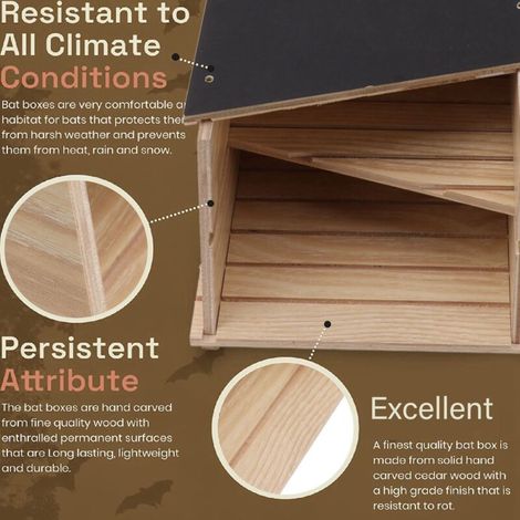 Maison pour Chauves-souris Double Chambre en Bois Composite Résistant aux Intempéries avec Kit de Montage (1/4)