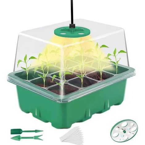 2026 Bandeja Home Plantes Contenedor (1/5)