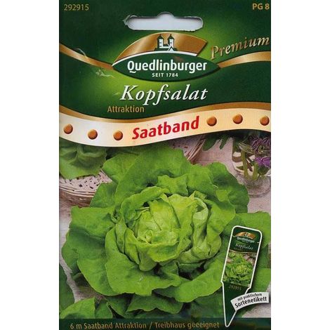 Quedlinburger Kopfsalat Attraktion Satband - Premium Gemüsesamen (1/2)
