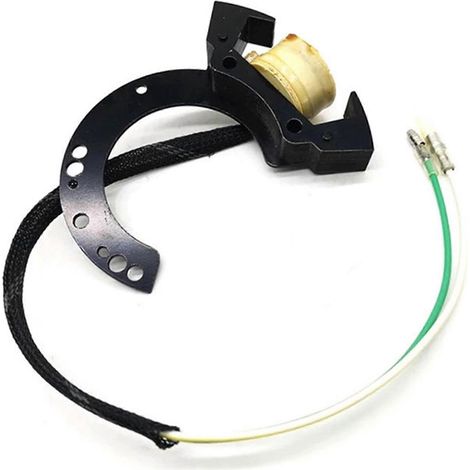 Stator de moteur hors-bord pour Mercury 1997-2005 (6, 8, 10, 15, 20 et 25 CV) 855721A 4, 855721T 8 174-5721 (1/5)