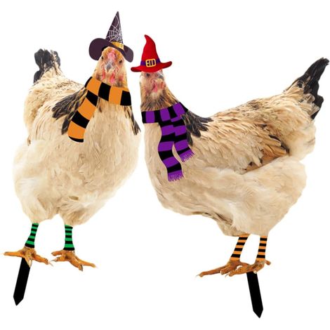 Acryl Gartenstecker Huhn mit Halloweenhut Doppelseitig