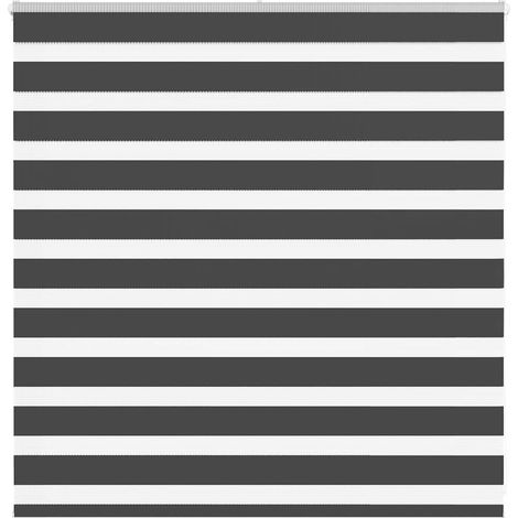 Doppelrollo Schwarz 150x100 cm Stoffbreite 145,9 cm Polyester