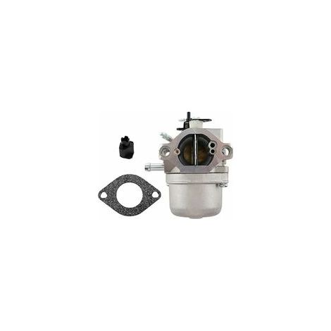 Carburatore con guarnizione per tosaerba Briggs & Stratton (11-11, 5-12-12, 5-13-13,5 HP). Sostituisce i codici ricambio 799728, 498027, 495706, 494502, 494392 e 498134. (1/5)