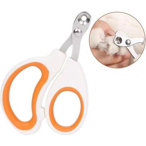 PA Coupe-griffes pour chat à trous ronds : évitez de trop couper les griffes de votre animal. Coupe-griffes (orange) idéal pour les nouveaux propriétaires d'animaux. (1/4)